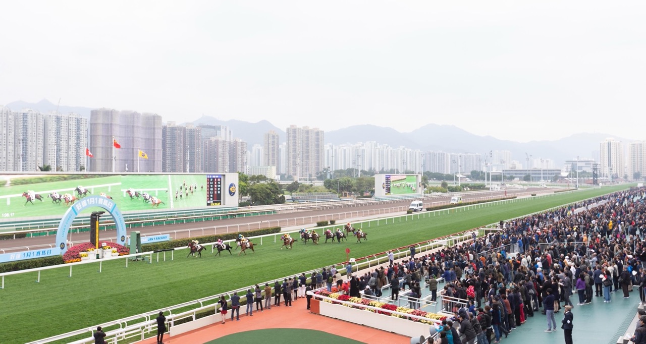 好运1月1｜沙田马场