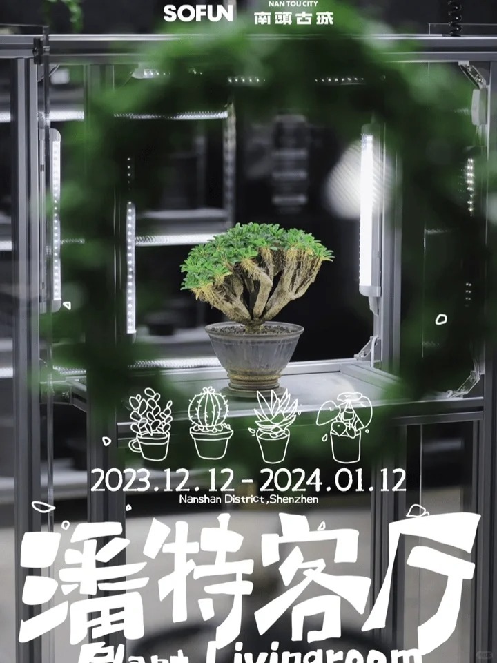 城市里的绿洲！古城植人节我先冲了_2_南头古城