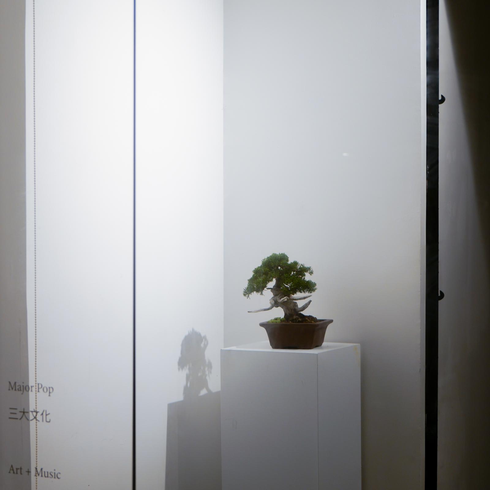 PHOTO-2023-12-25-14-58-08 (1)