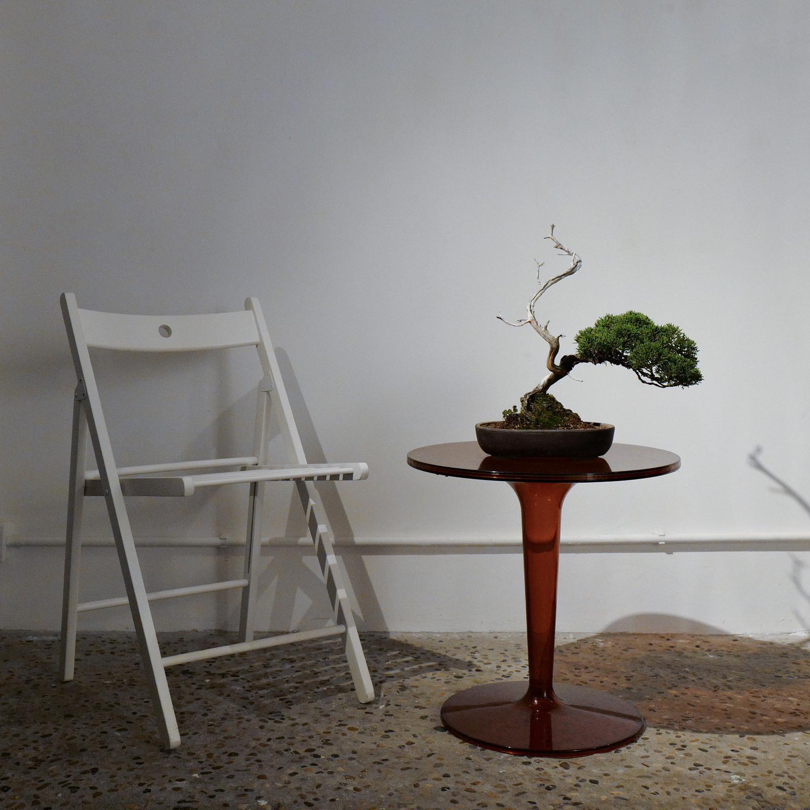 PHOTO-2023-12-25-14-58-09