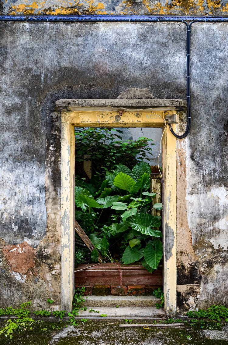 Sha+Kok+Mei+#1+(2012)