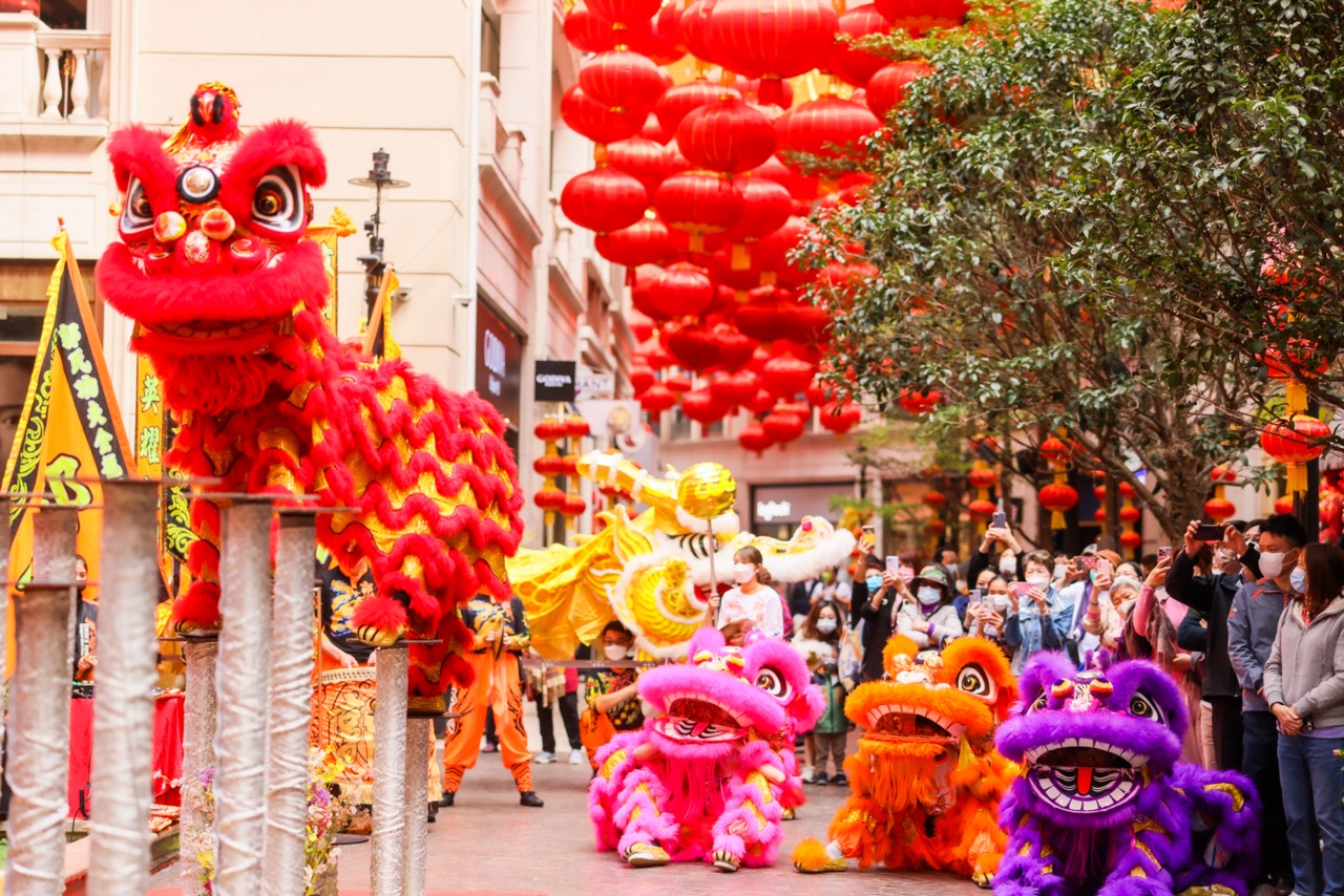 金龙醒狮舞动贺新禧(1)