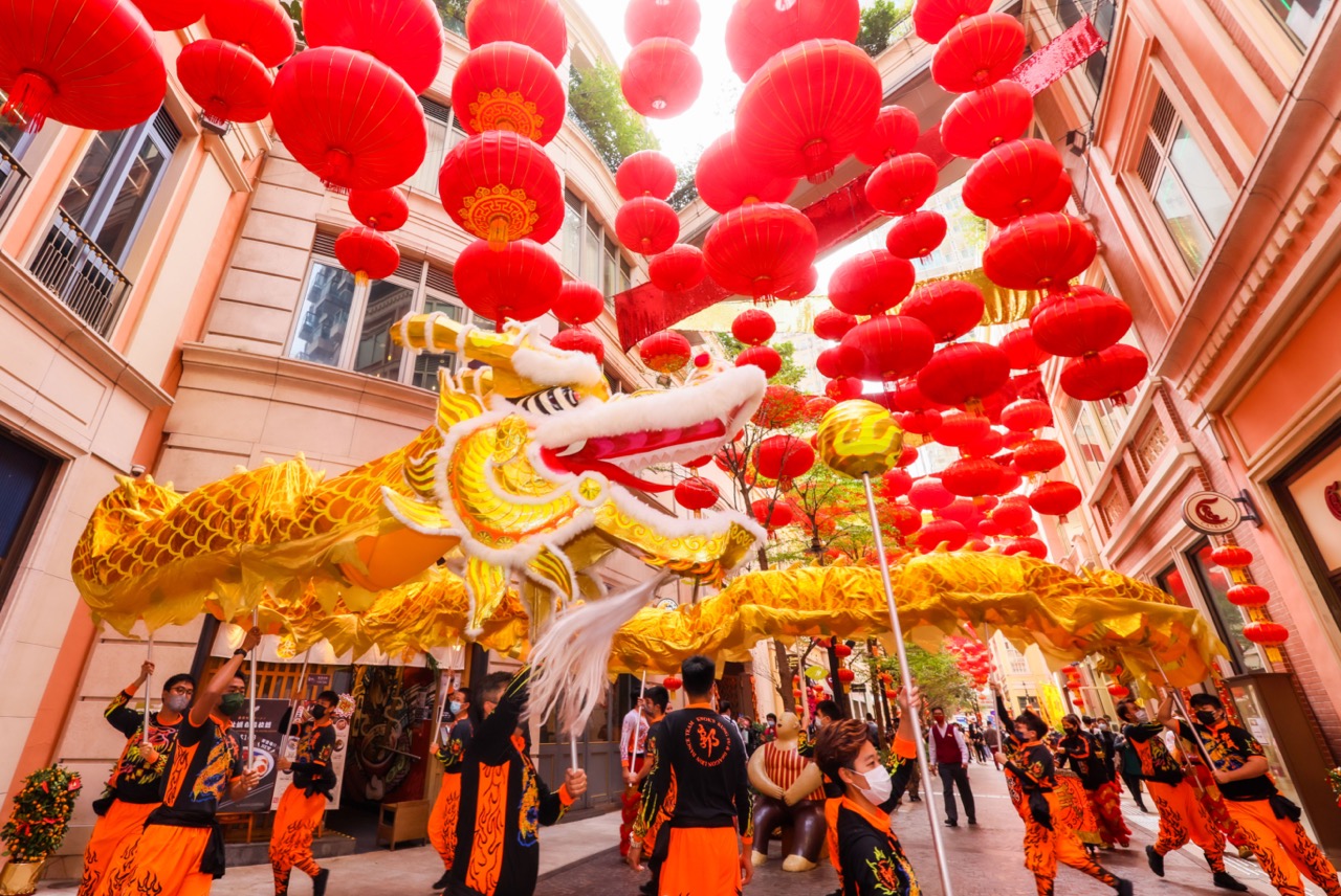 金龙醒狮舞动贺新禧(3) 大