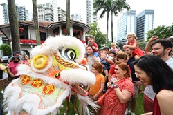 3 Auspicious Lion Dragon Dance Performance
