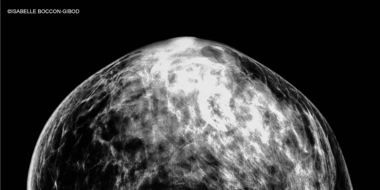 Rêve N.3, 2023 大