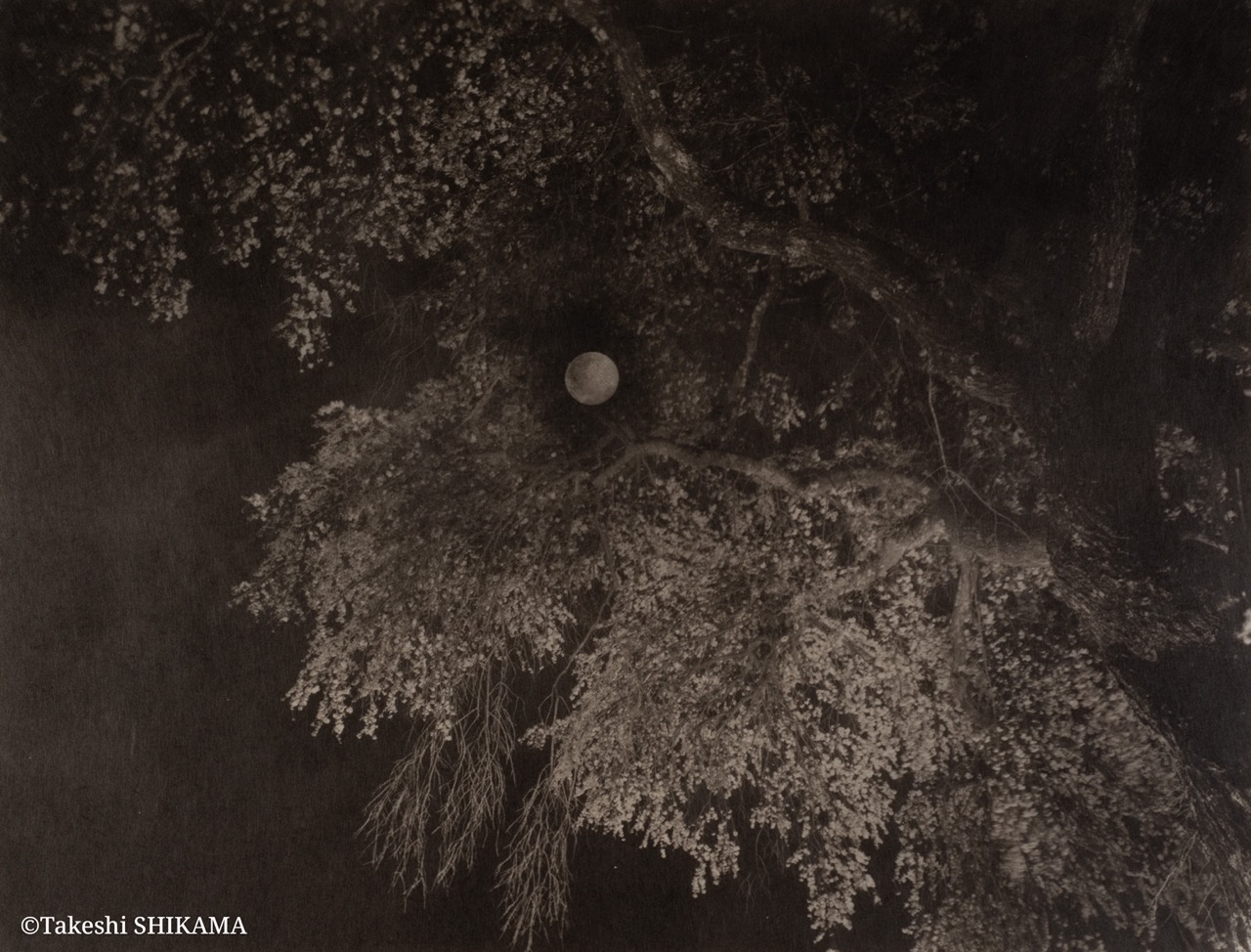 Wakata #3, Japan 2023 大