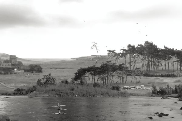 2M_FW_Website Thumbnail