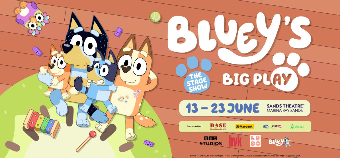 Bluey's Big Play