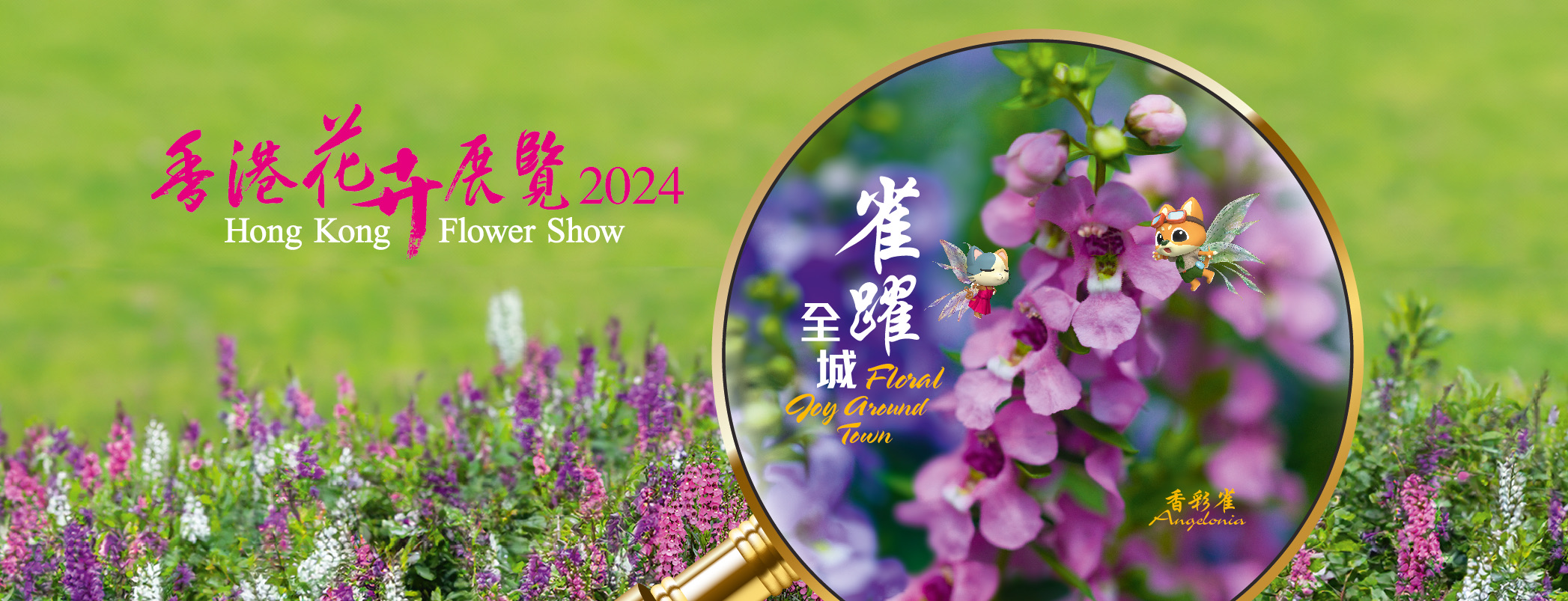 Hong Kong Flower Show 2024｜Victoria Park