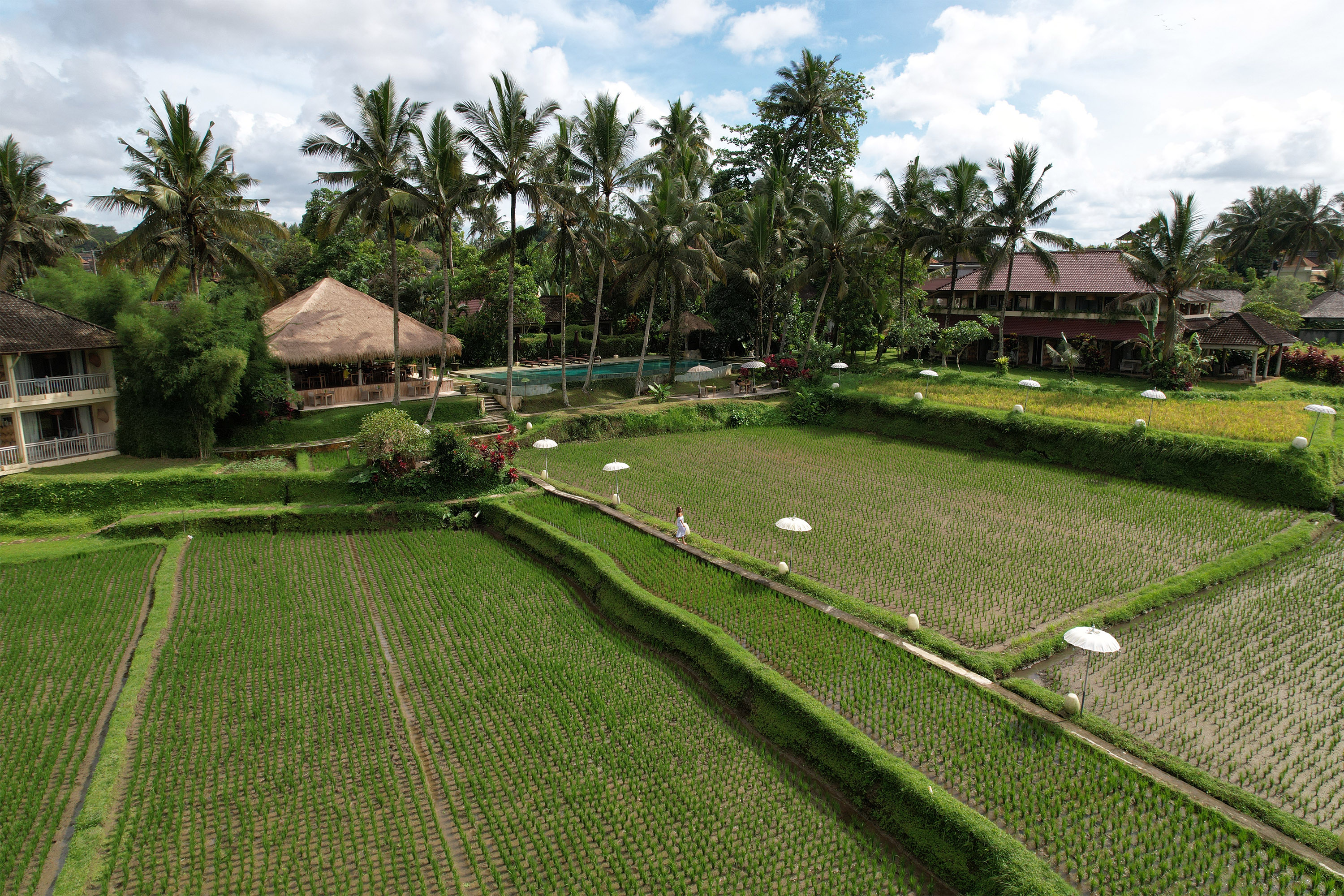MATHIS Retreat Ubud