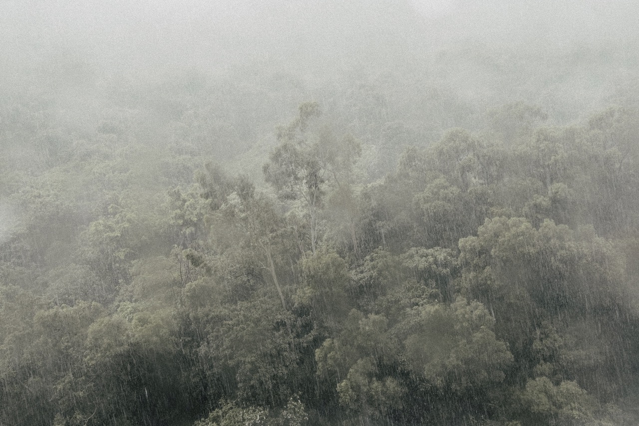 Sylvain Holtermann_(neg)Entropy_71_A5 copy 大