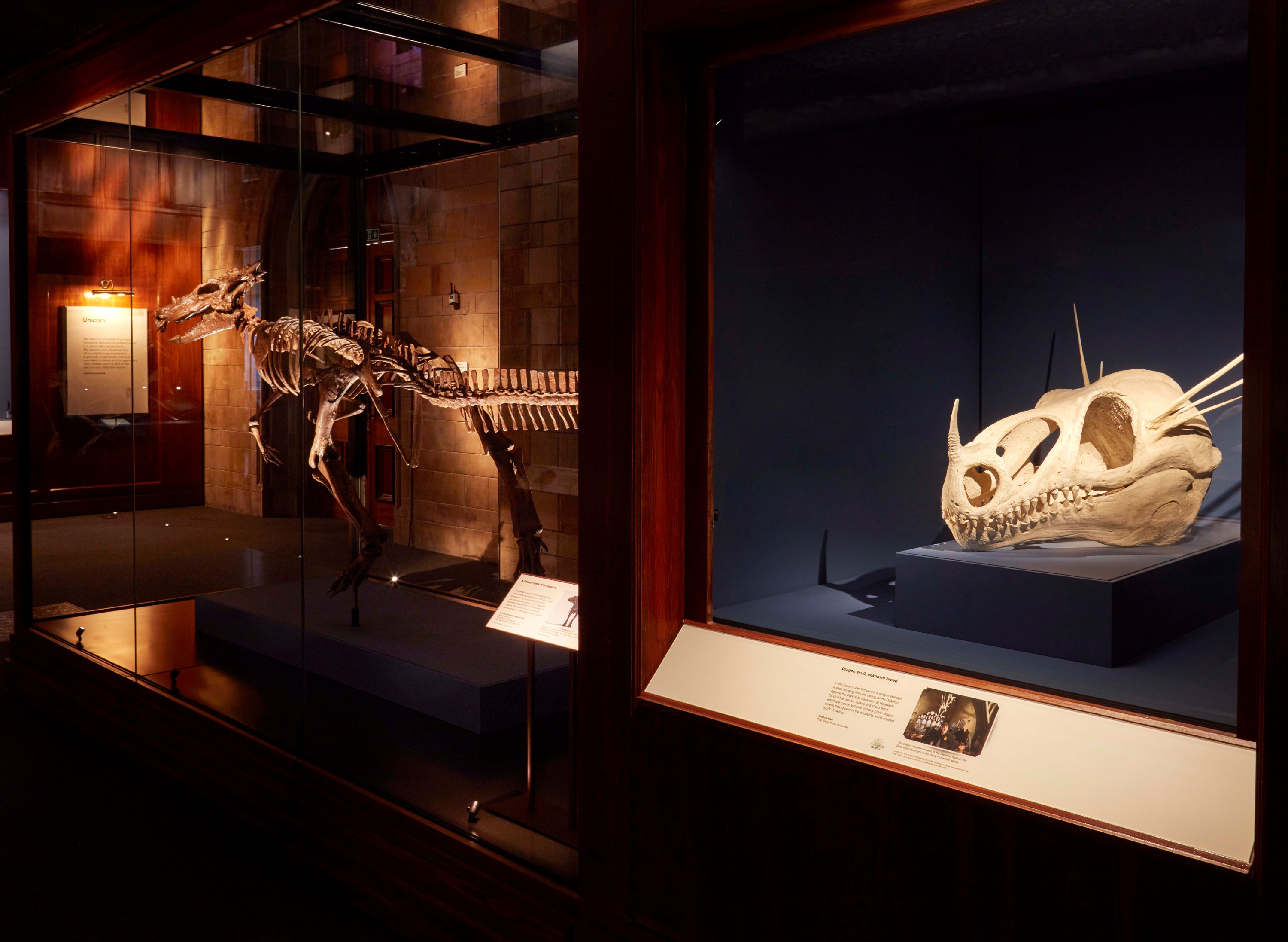  華納兄弟《哈利波特》電影中的道具，與現實世界中的文物並陳展示。 圖／大英自然史博物館提供。