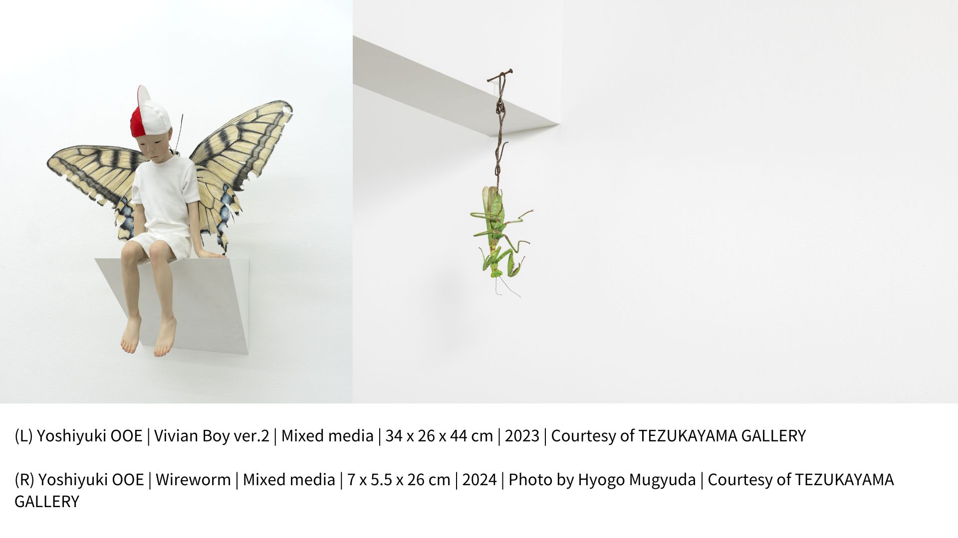 OOE’s works are imbued with childhood memories, where reptilian creatures are to Yoshiyuki OOE as mantises are to André Breton, replete with attraction