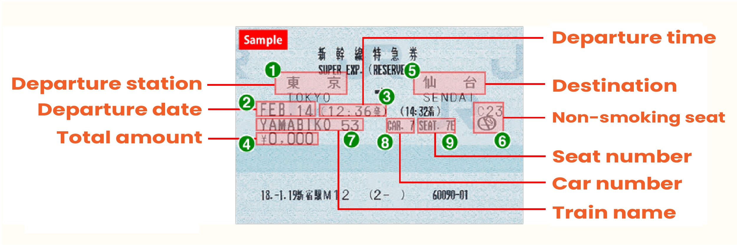 サンプル特急乗車券