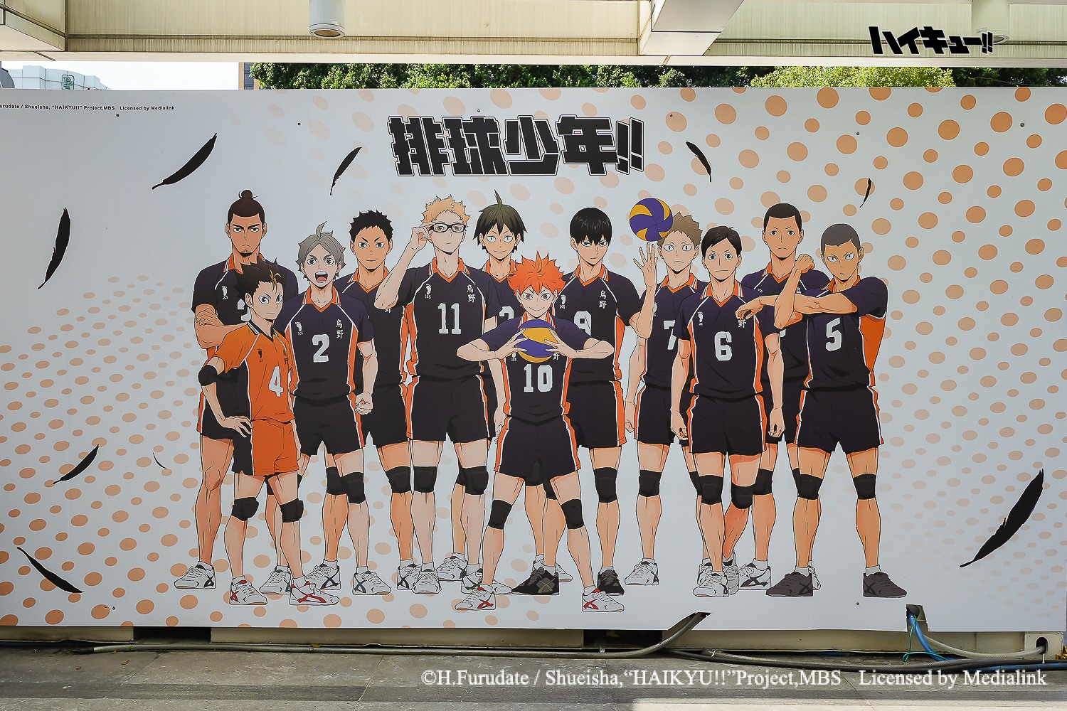 排球少年台中快閃店打卡點-「烏野三代同堂」把三年級澤村、菅原和二年級「最佳自由球員」西谷、單純的田中學長等烏野高中12位角色一次拍完帶走！