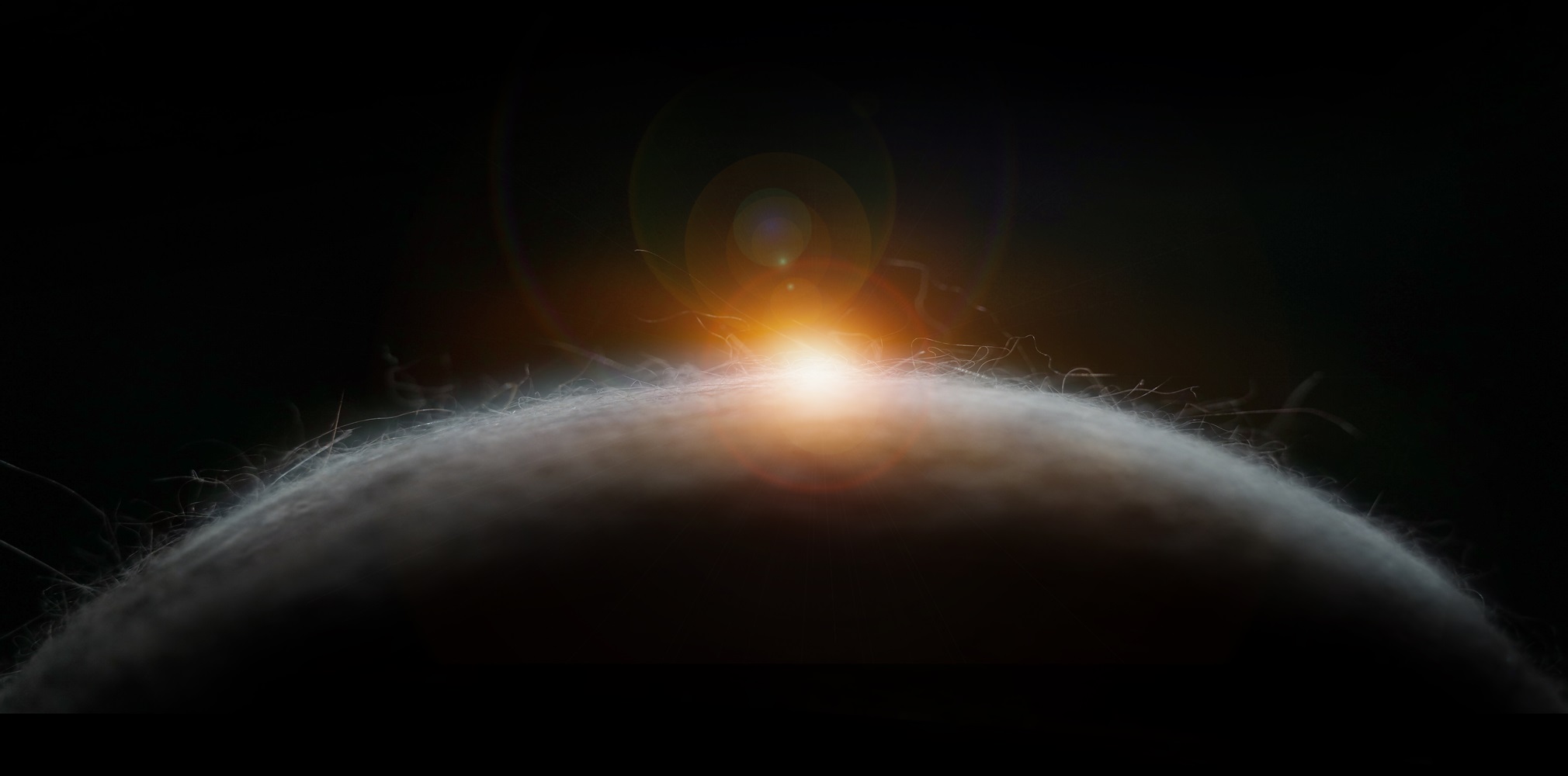 fur-ball-0426-copy_resized