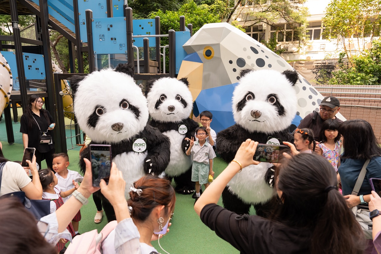 「熊貓三寶」快閃現身 市民紛紛踴躍影相打卡 (1) 大