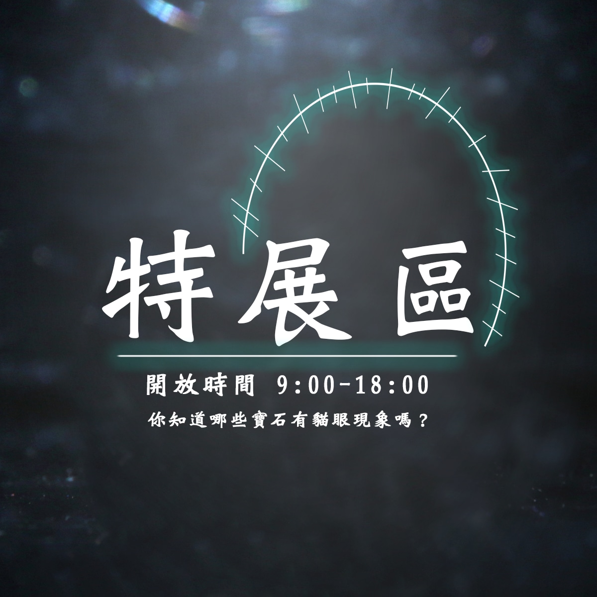 20th speicial exhibition