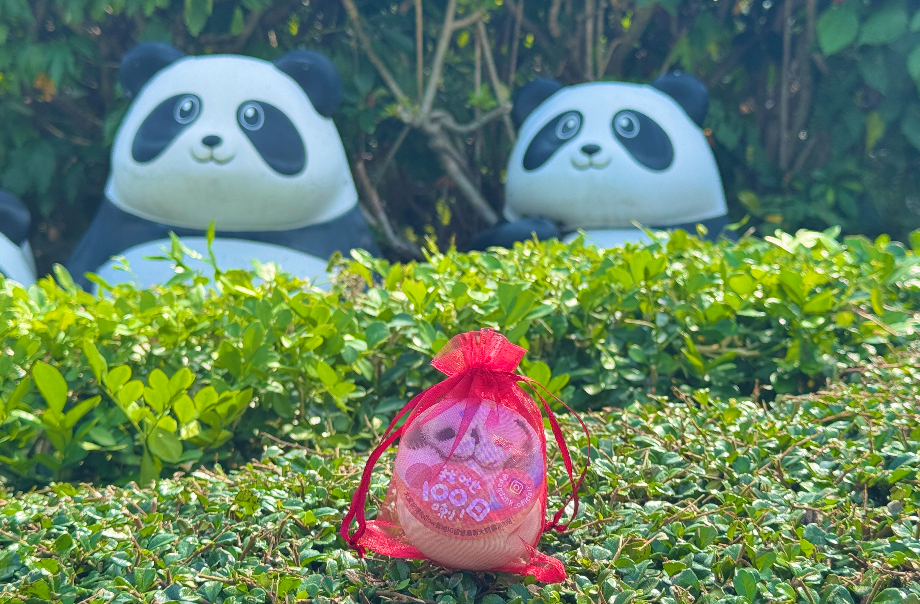 op-panda-twin-cubs-100days-3