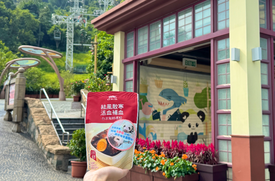 op-panda-twin-cubs-100days-4