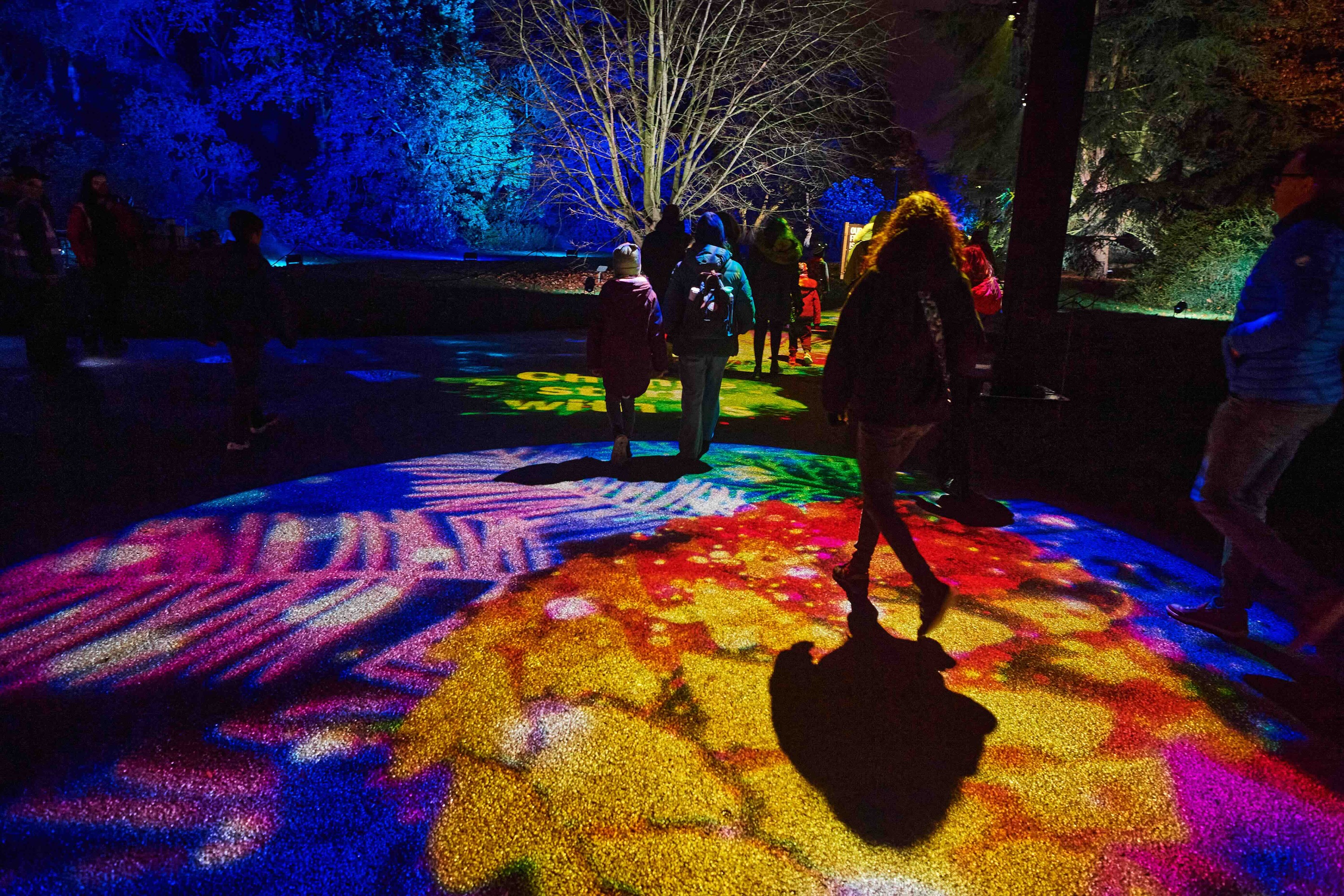 Brooklyn Botanic Garden Lightscape 2024