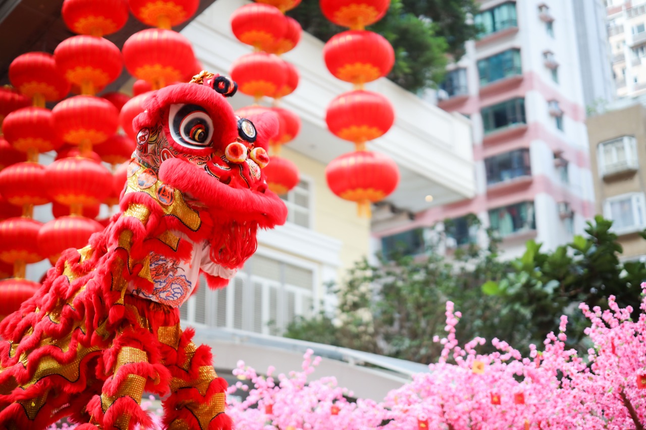 Dragon and Lion Dance to celebrate the New Year