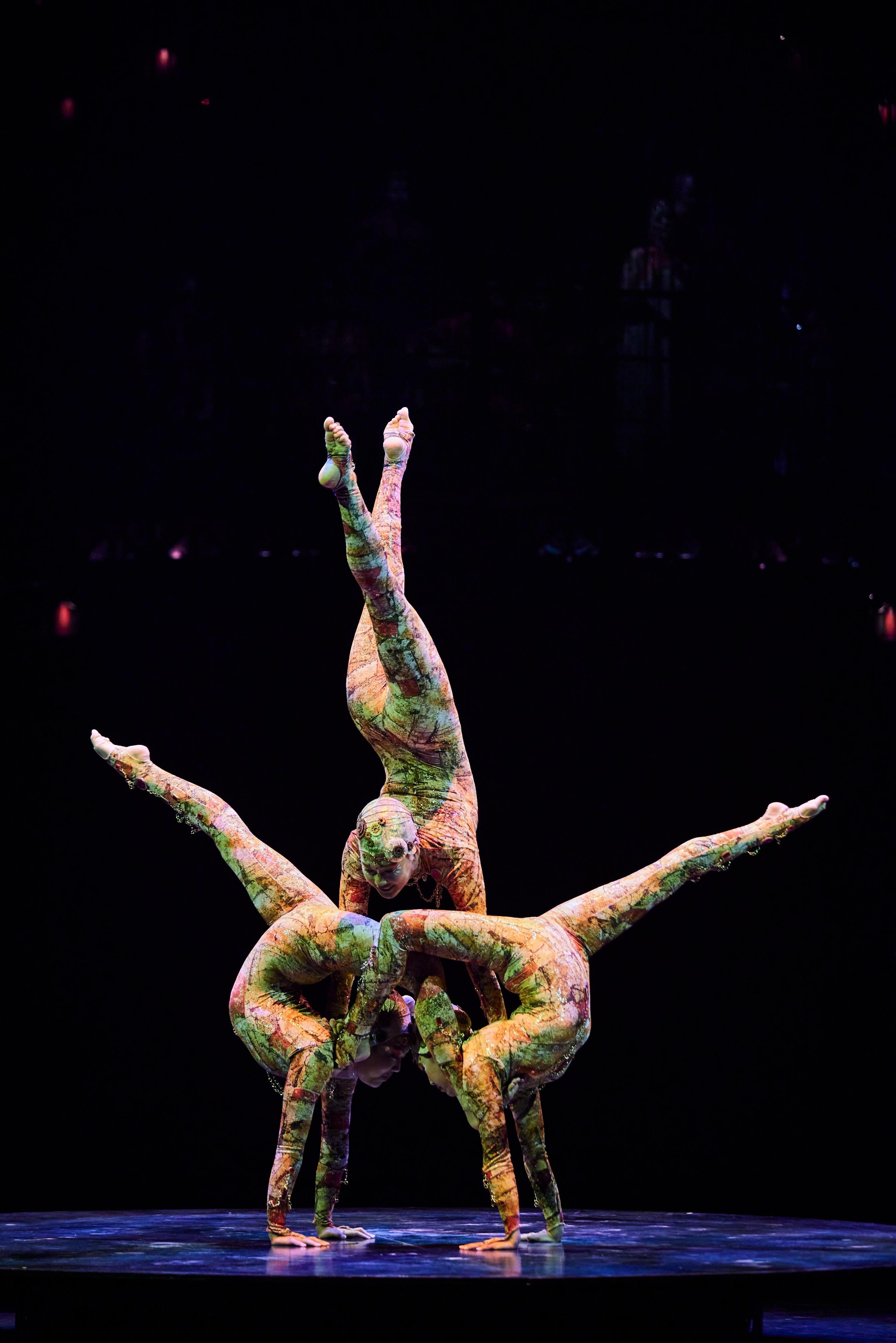 04_Contorsion_0987
