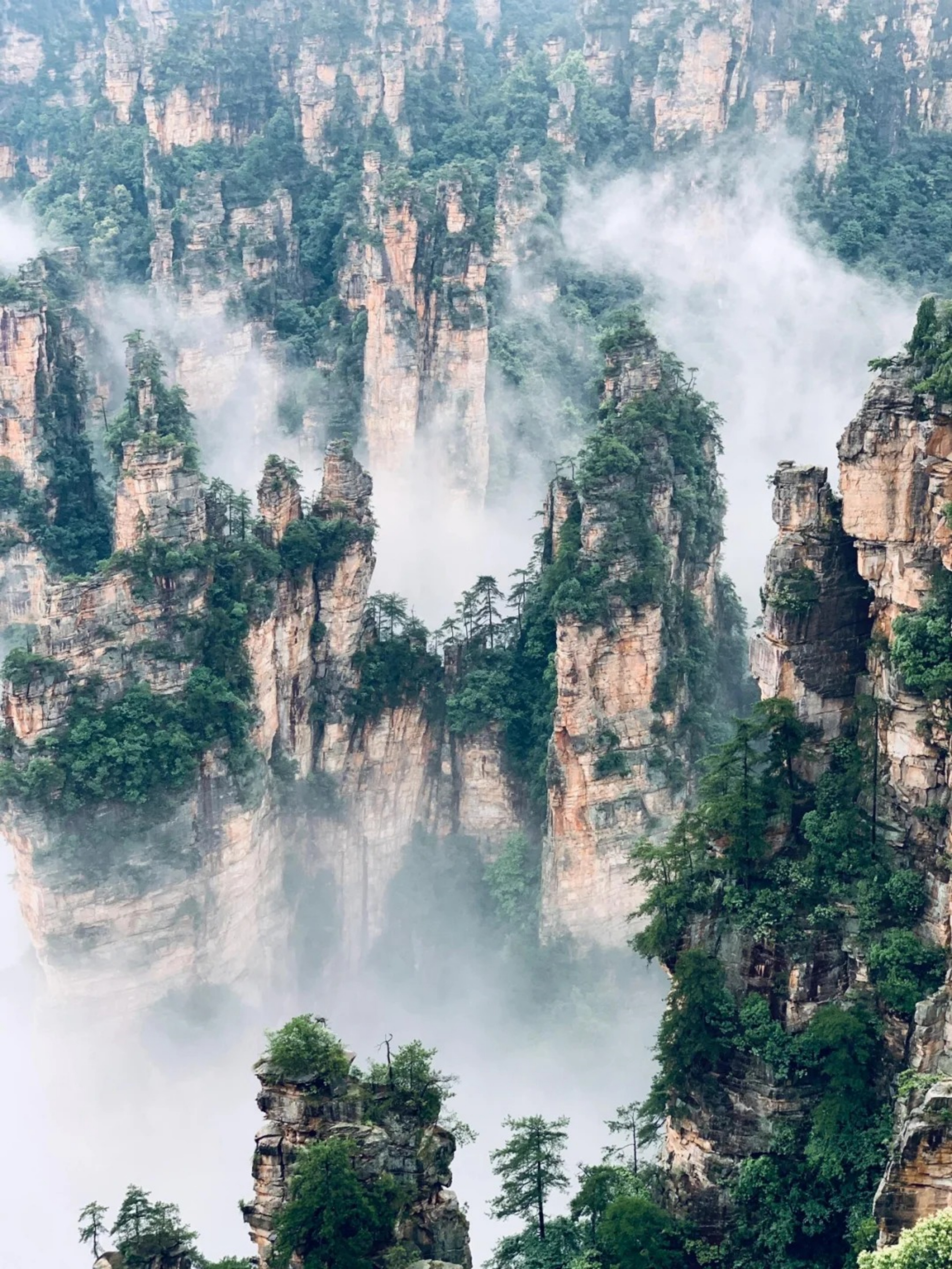 天子山 (2)