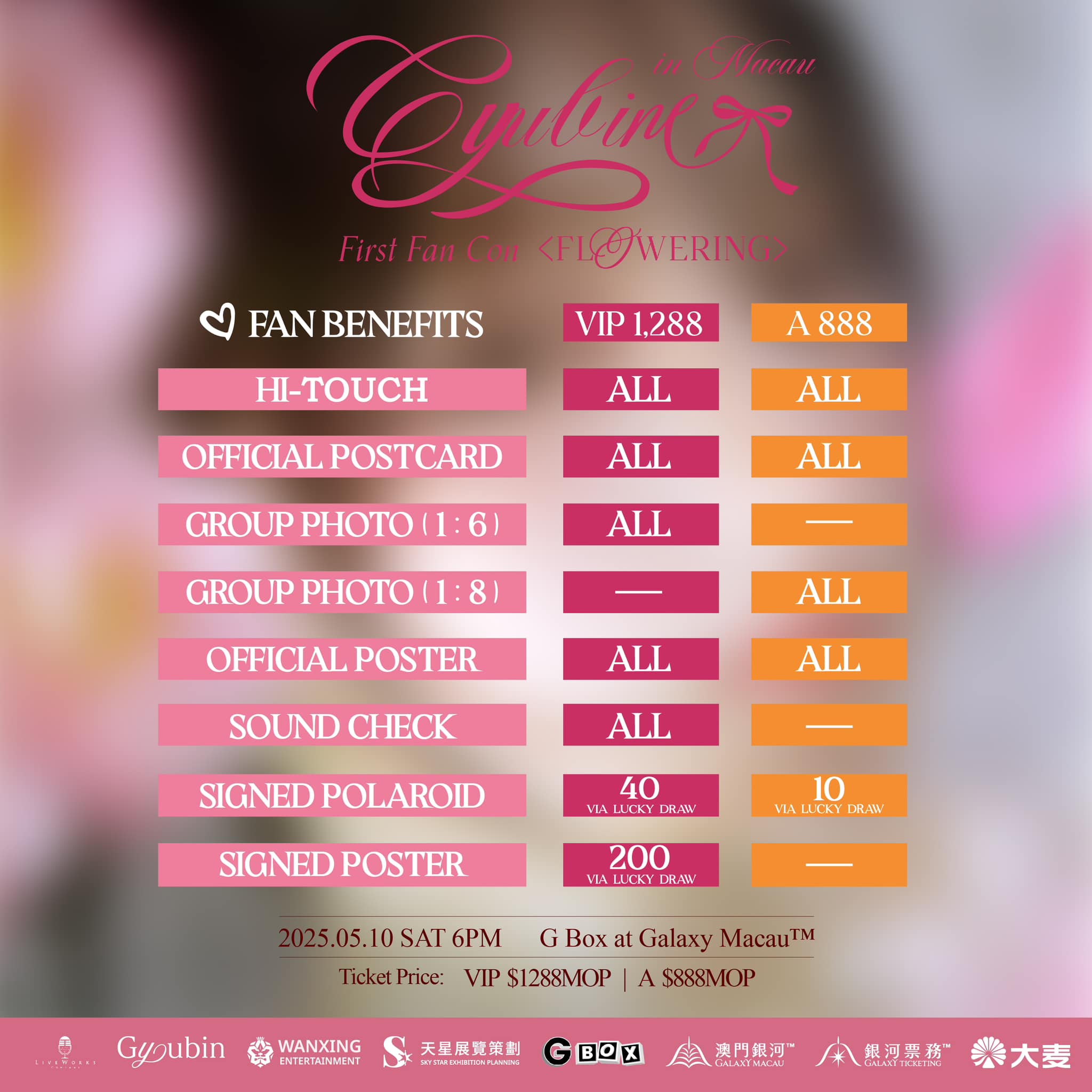 481002063_1173100584816655_8202432613226985715_n