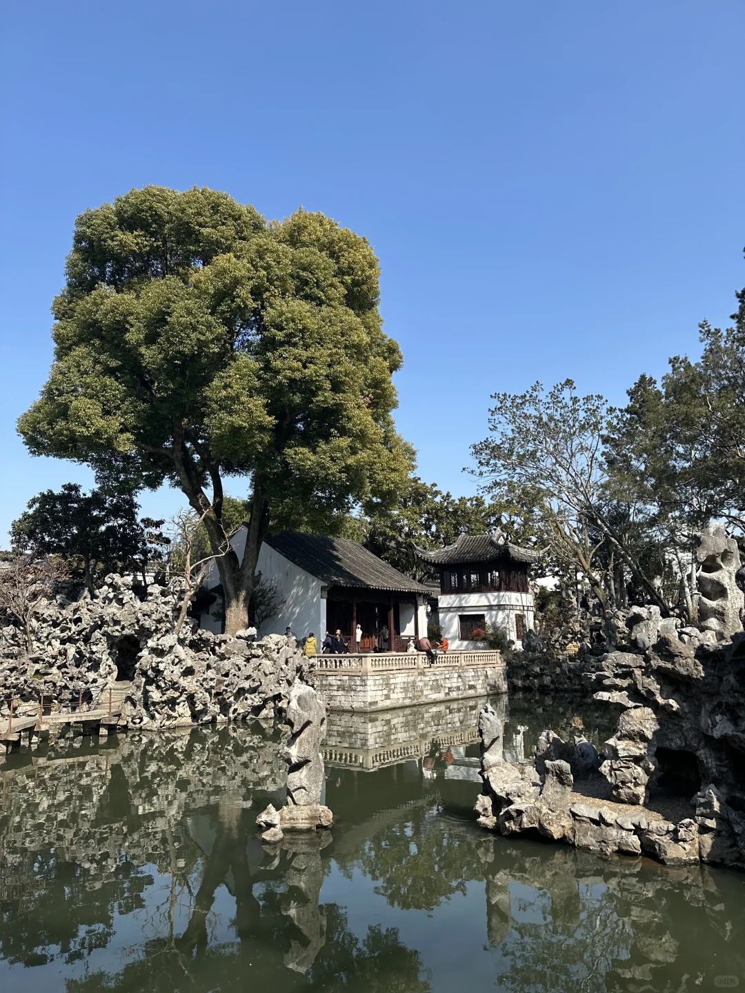 Lion Grove Garden (1)
