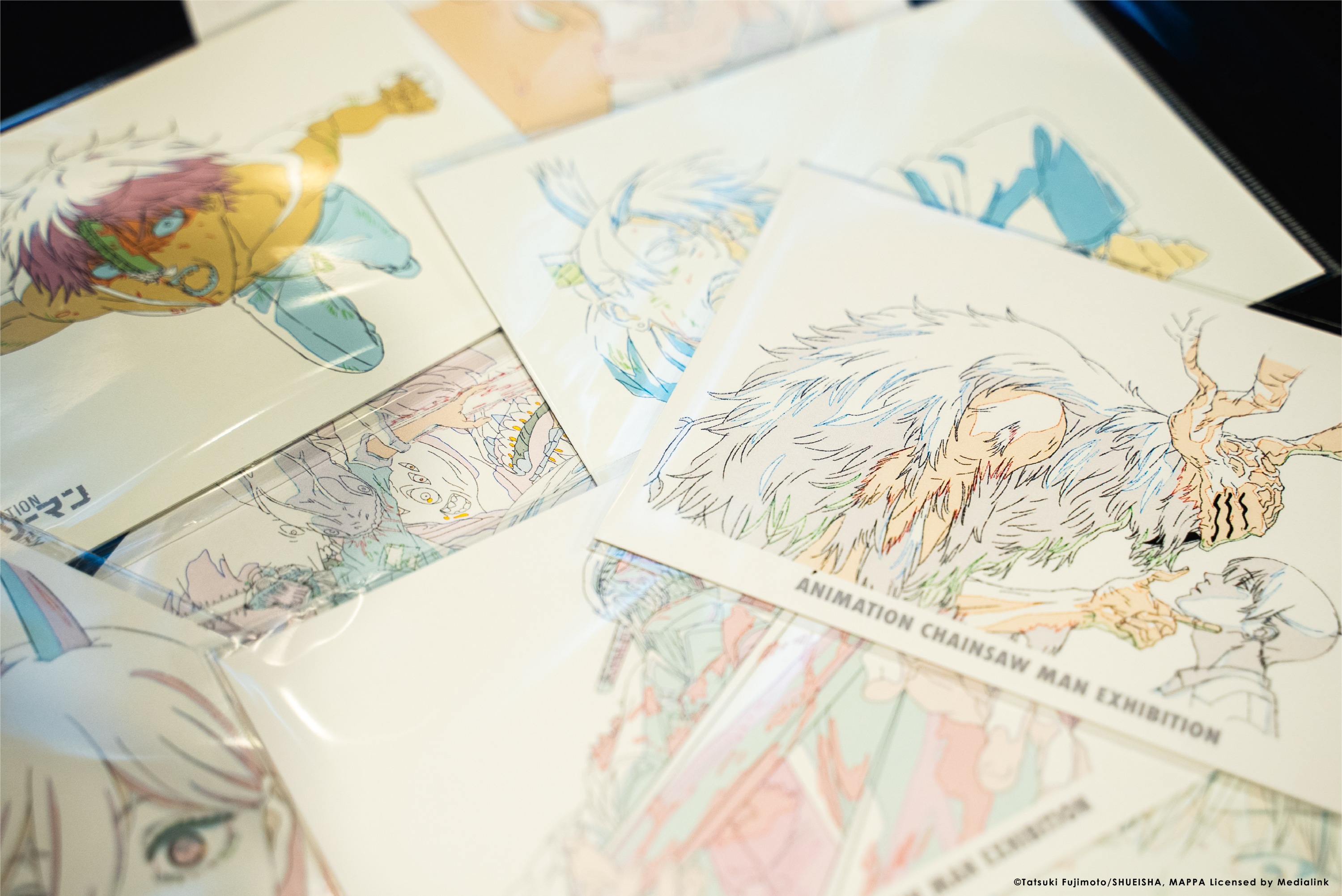 开展照片cp-03