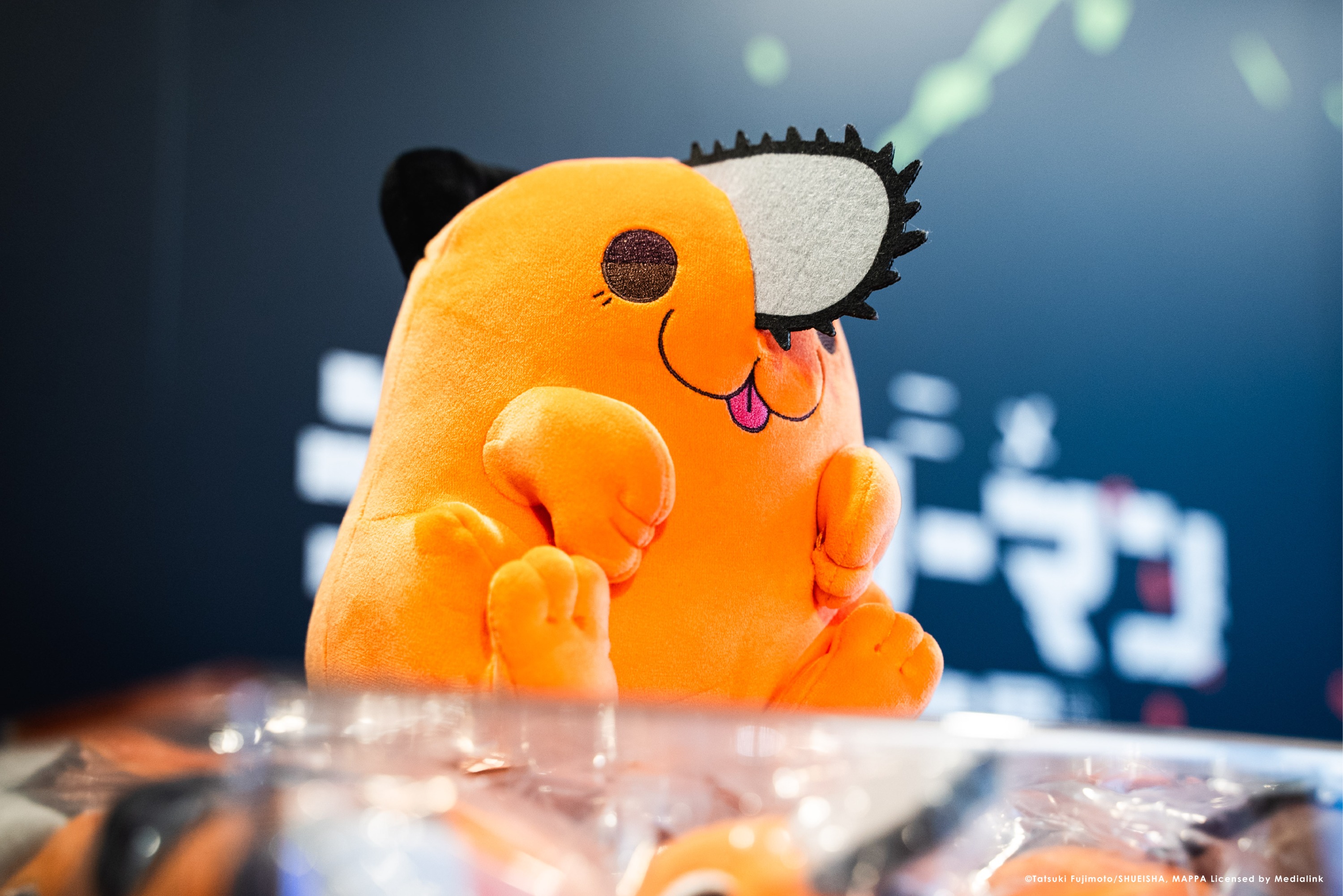 开展照片cp-02