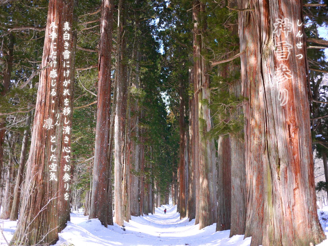 戸隠神社 冬