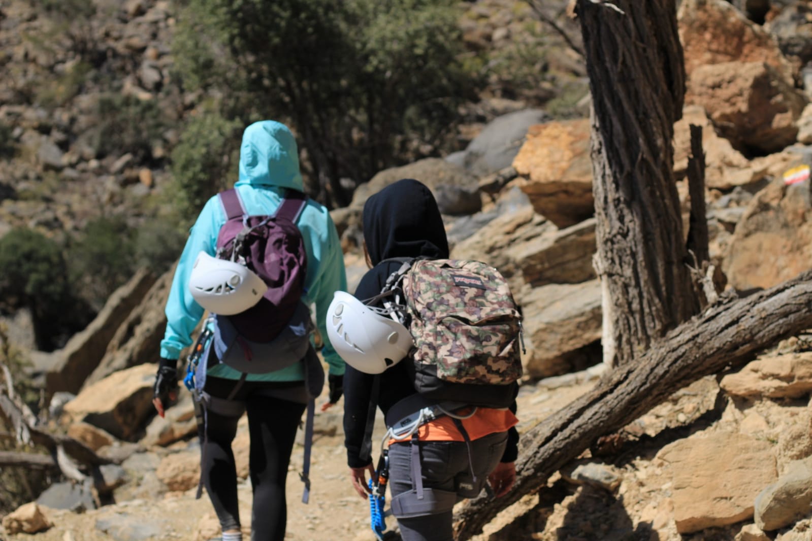 3611d6b4-474a-49ad-a853-b8215cd3017d