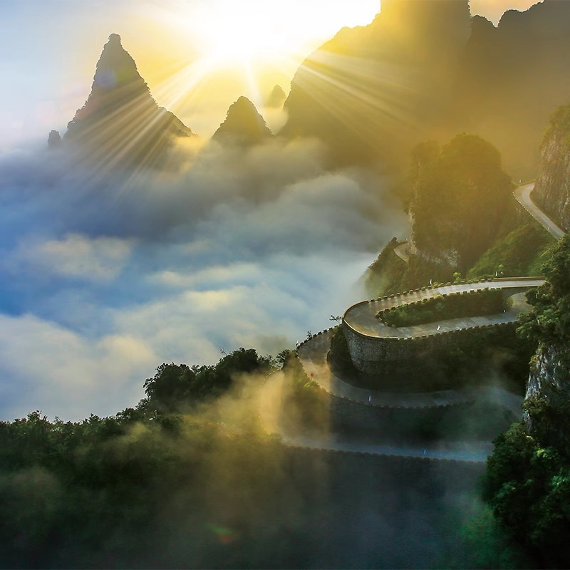 微信图片_2025-09-17_141723_860