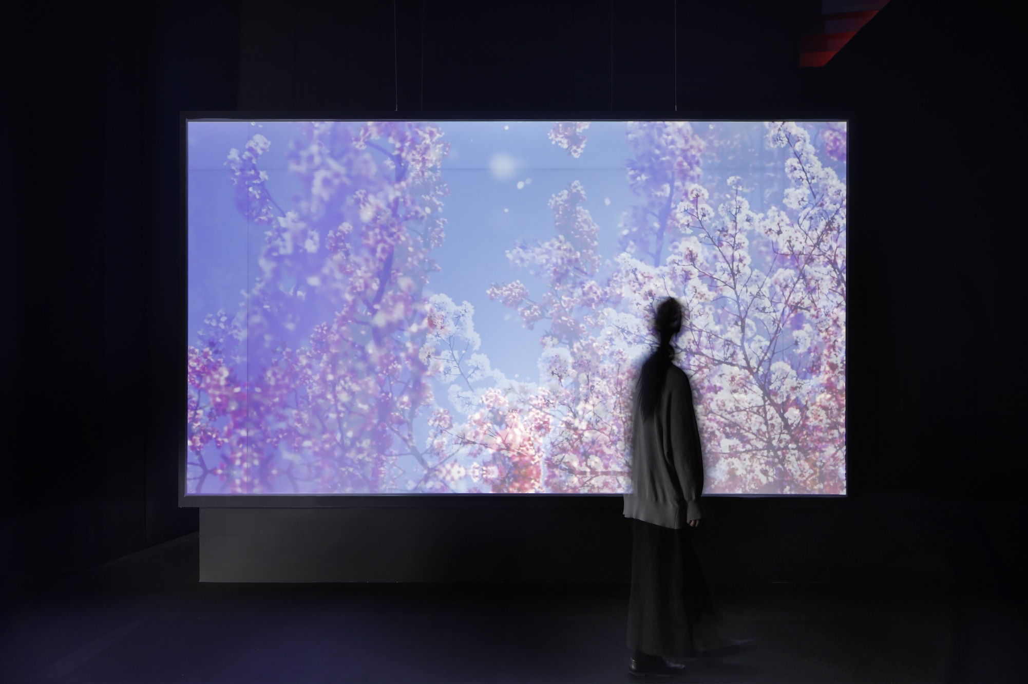 截圖 2025-11-03 12.29.16