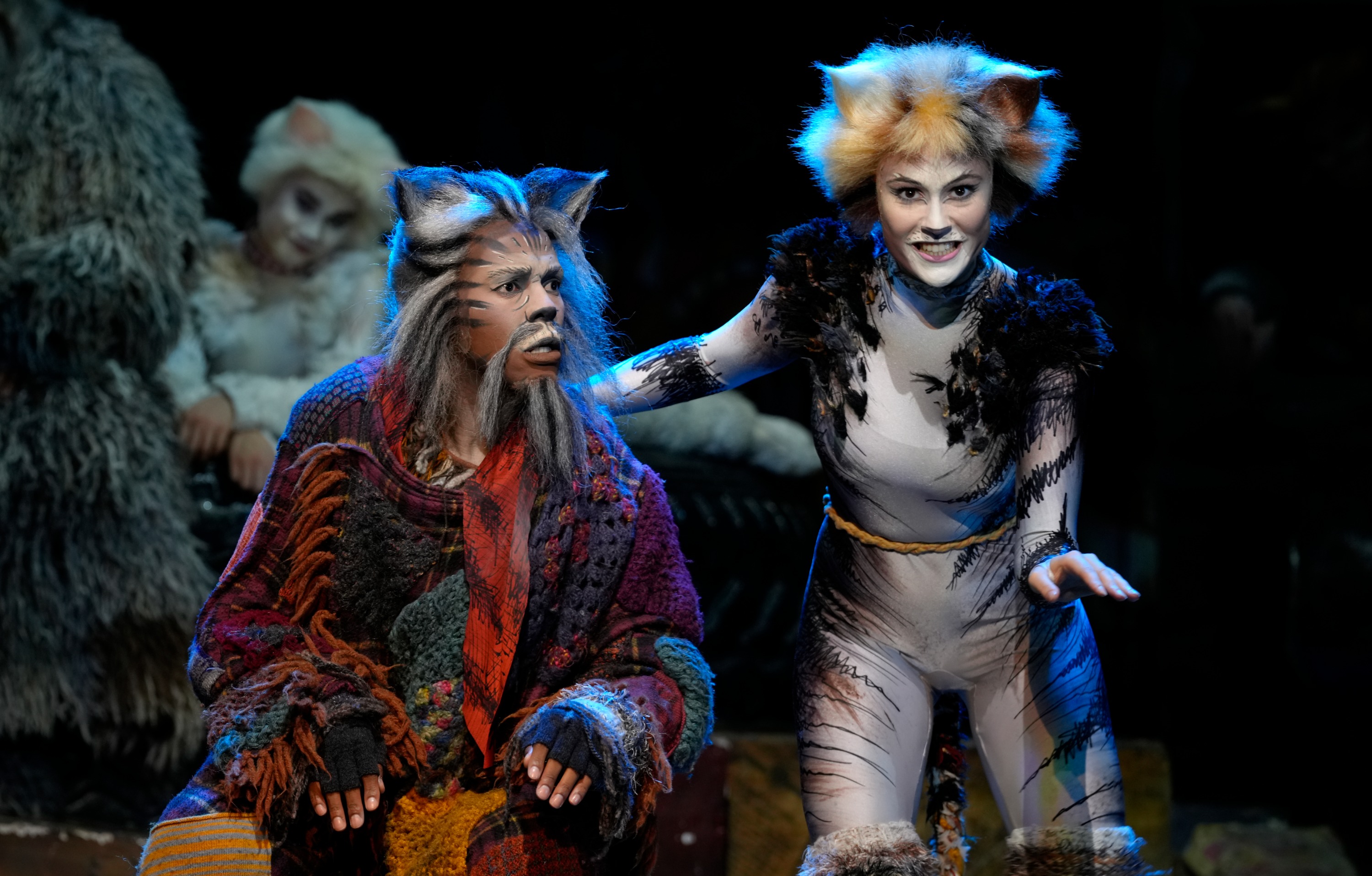 CATS Photo Nardus Engelbrecht 125