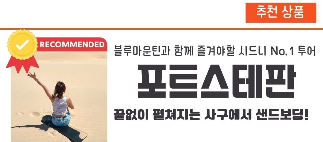 포2a