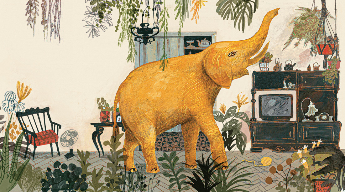 大象的記憶Memoria de elefante