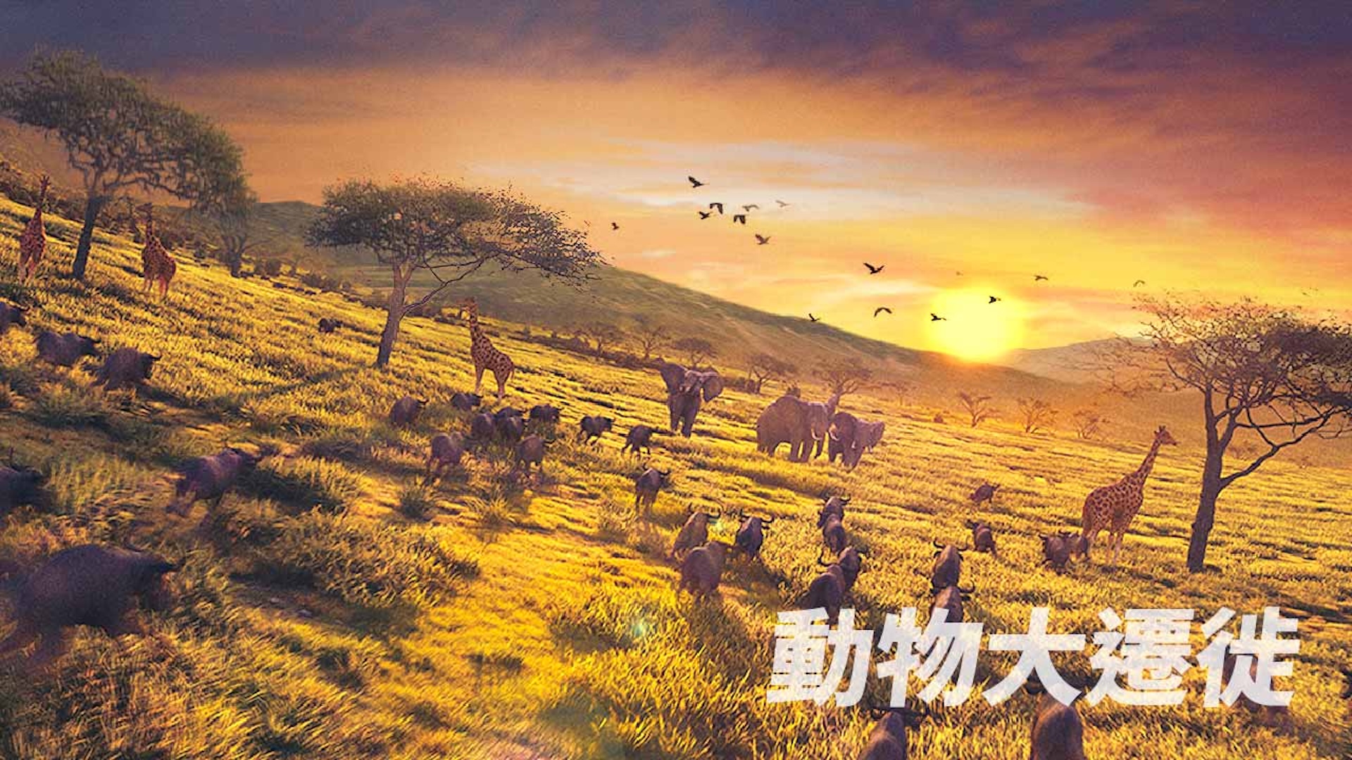 易遊網_1280x720px-05