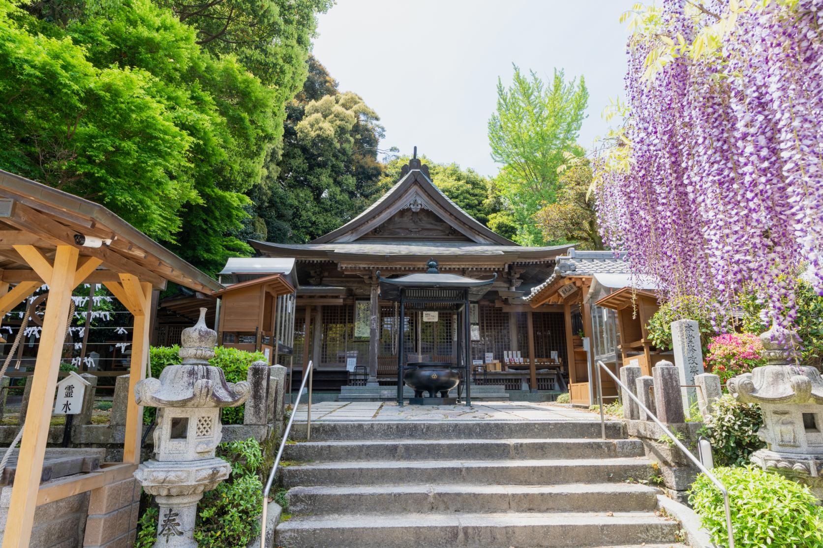 天拜山7