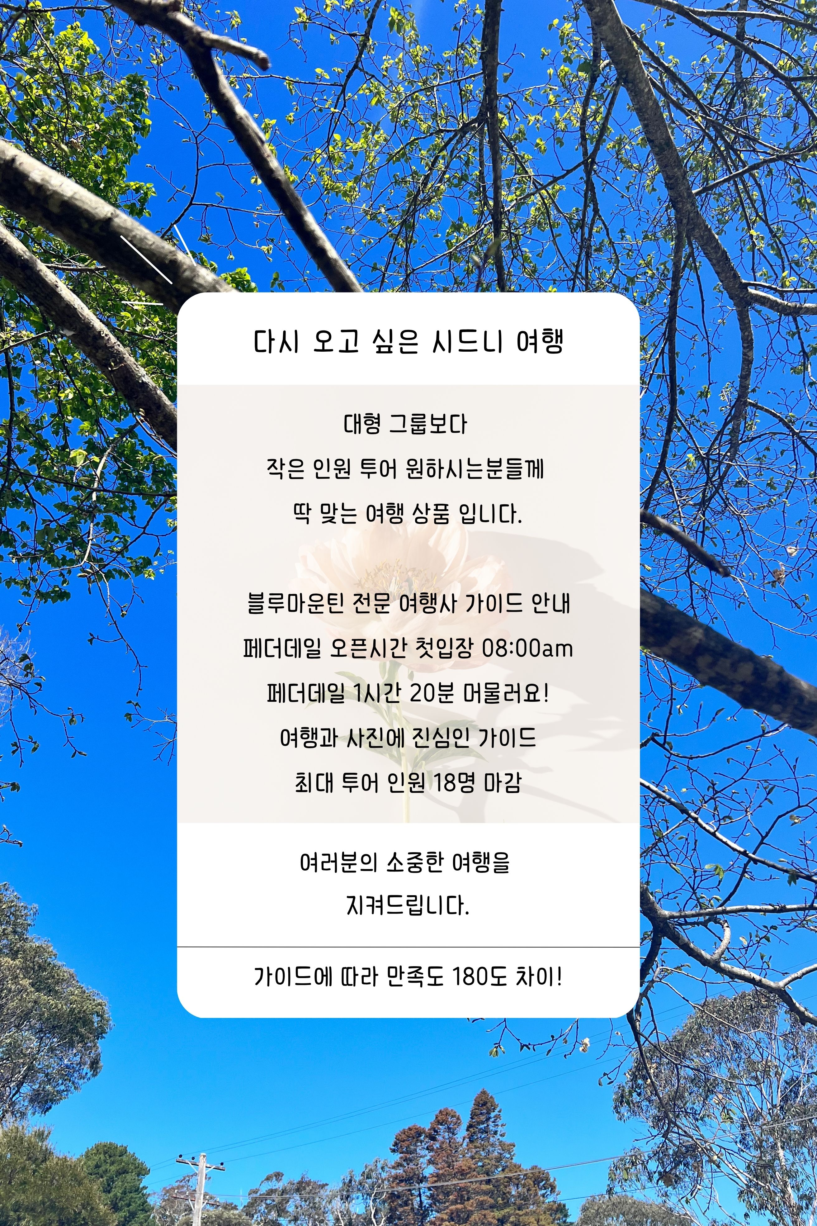 고호주의 특전 (6)