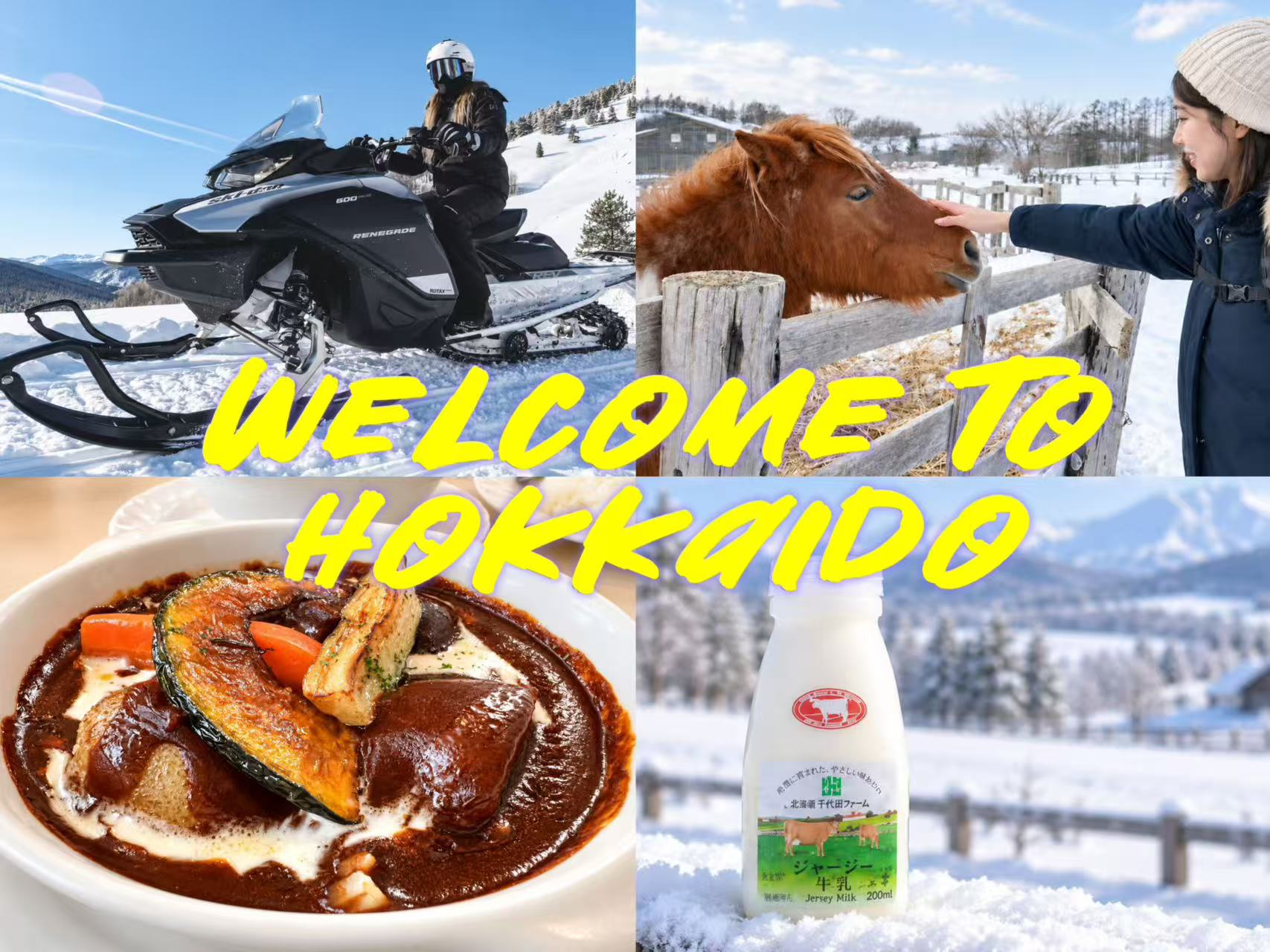美瑛雪地摩托拼图