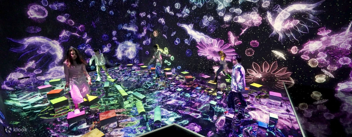 teamLab Planets TOKYO Ticket — photo 4