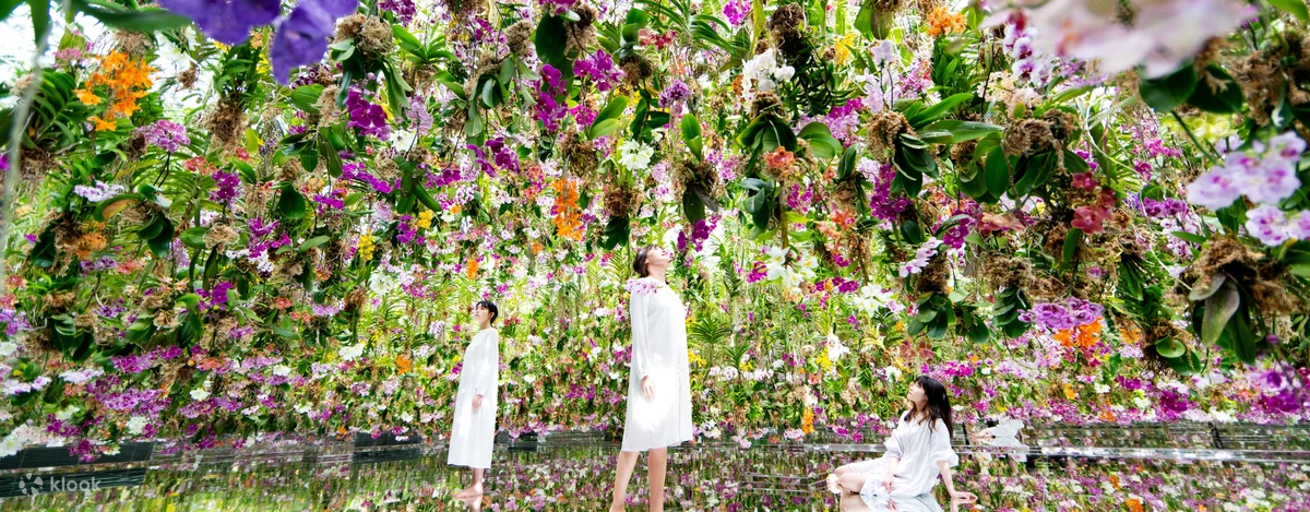 teamLab Planets TOKYO Ticket — photo 2