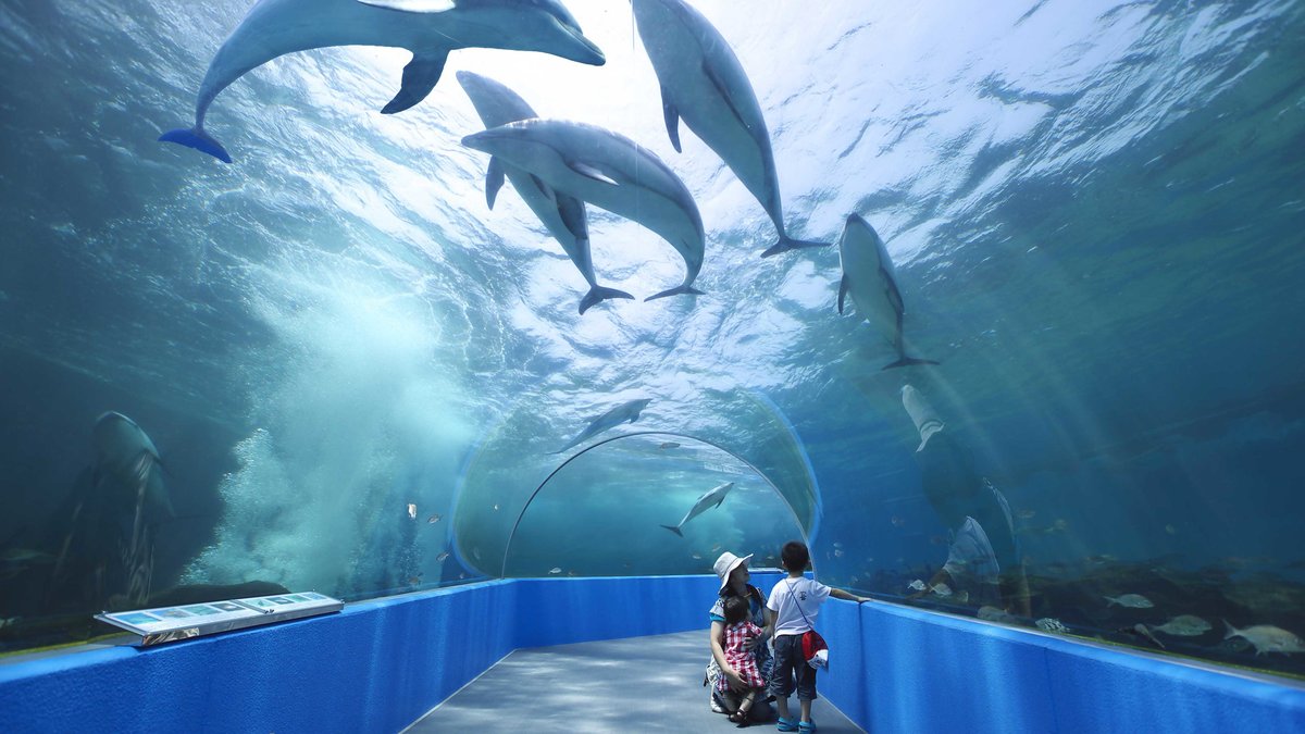 Notojima Aquarium
