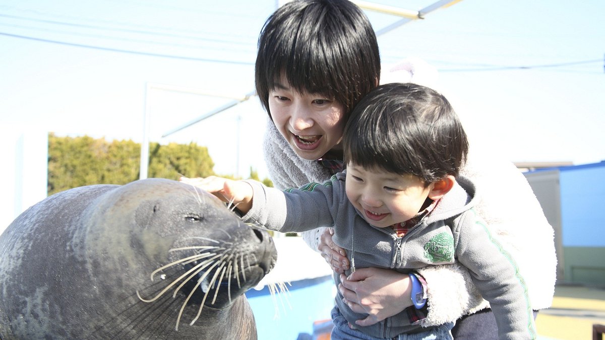 Minamichita Beach Land Admission in Aichi