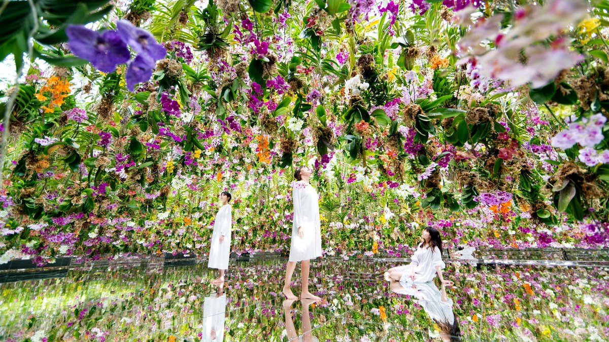 teamLab Planets TOKYO Ticket
