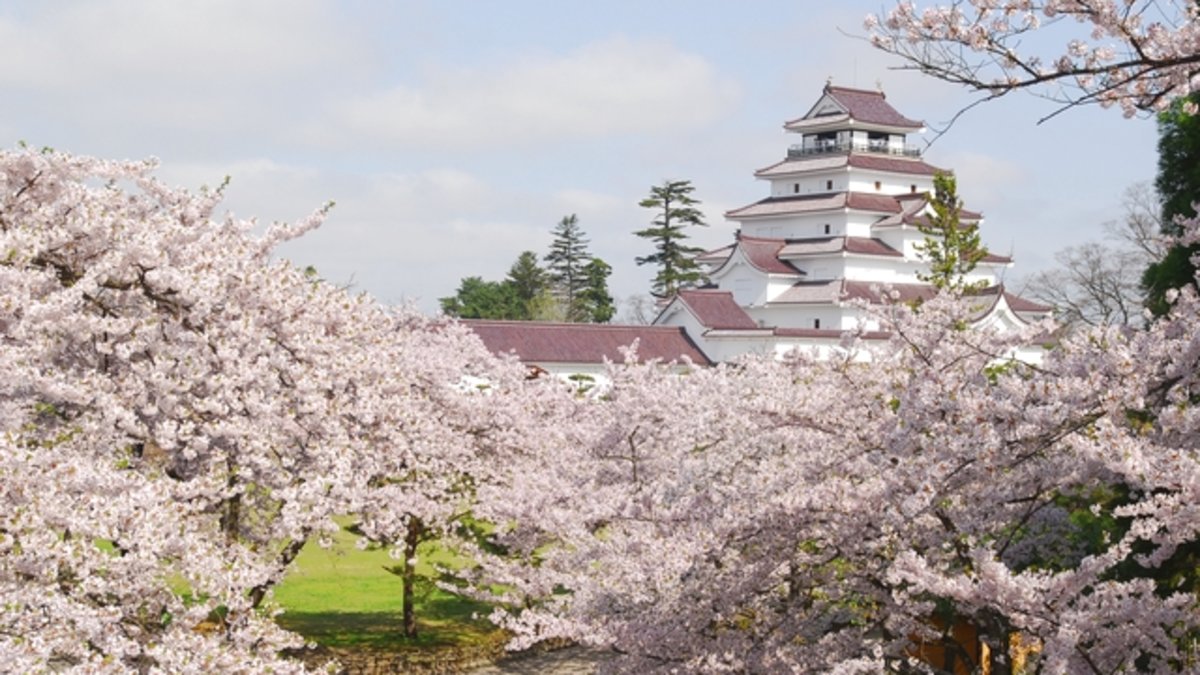 Tsurugajo Castle（Aizu-Wakamatsu Castle） Admission Ticket in Aizuwakamatsu