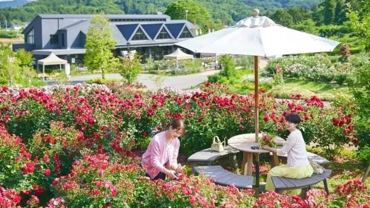 Ibaraki Flower Park